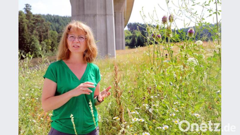 Als zertifizierte Kräuterführerin setzt Theresia Herdegen aus Pfreimd auch auf die heilsame Wirkung von Wissen, wenn es um den Schutz bedrohter Arten geht. Bild: GERHARD GOETZ