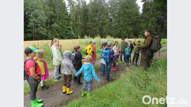 Revierleiter Andreas Greiner (rechts) brachte den Kindern den Wald und die Natur näher. Bild: adj