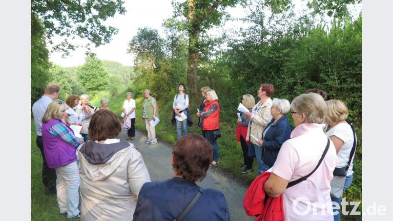 „Großer Gott, die ganze Schöpfung preist dich“, betete Stadtpfarrer Thomas Kraus (links) mit den Frauen beim besinnlichen Spaziergang rund um Kemnath. Bild: jzk