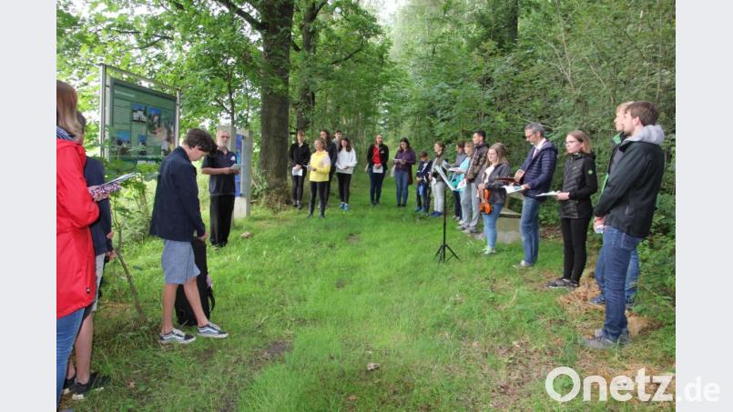 Ein Großteil der Teilnehmer aus der Diözese Regensburg mit Pater Benedikt Leitmayr an einer Station des Waldbesinnungspfades. Bild: kro