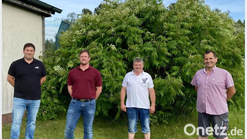 Der neue Vorstand der CSU Freihung (von links): Thomas Köhler, Christian Lautenschlager, Jürgen Grundler und Stefan Blind. Bild: (döh)