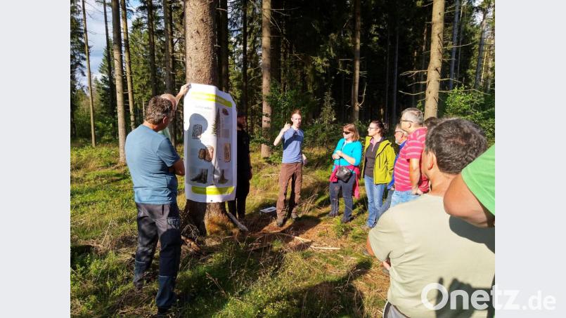 Interessiert verfolgten die Waldbesitzer die Borkenkäferschulung in einem vom Borkenkäfer befallenen Waldstück. Bild: jzk