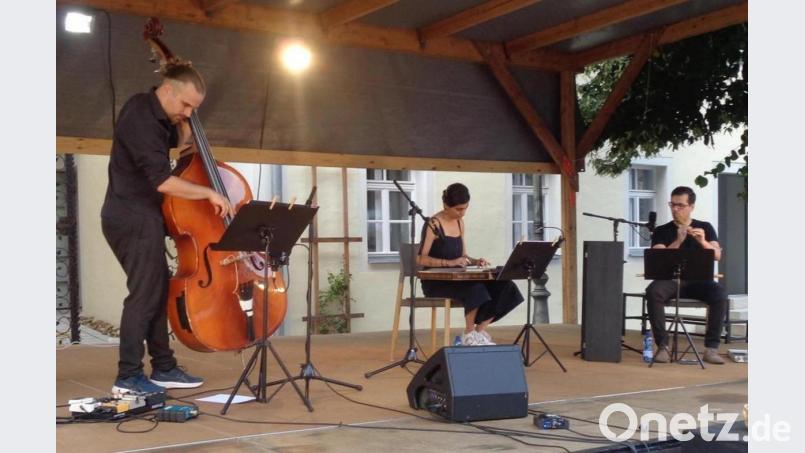 Die Musiker (von links) Jonathan Sell, Leila Mahmoud und Mohamad Fityan nahmen das Publikum mit auf eine Reise "jenseits von Orient und Okzident" mit. Bild: amö