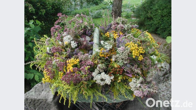 In einem großen Korb werden Blumen und Kräuter für den Weihestrauß an Mariä Himmelfahrt gesammelt. Bild: gis