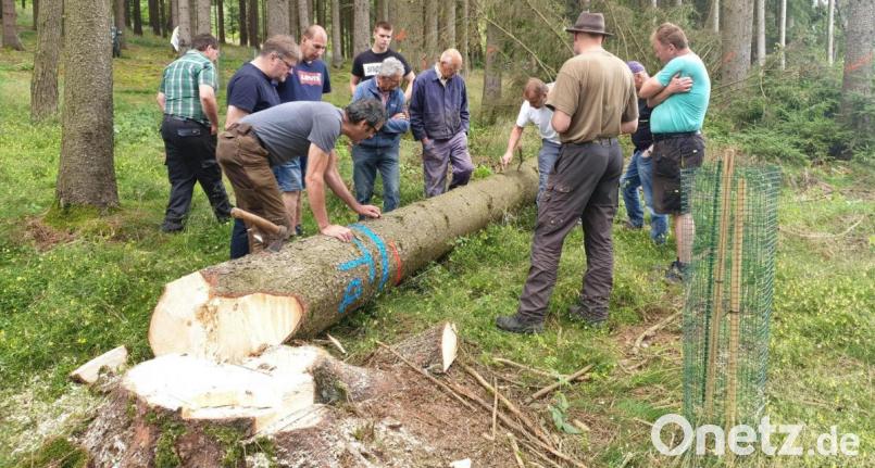 Nach einjähriger Corona-Zwangspause kamen in einem Waldstück zwischen Pilmersreuth an der Straße und Plößberg Mitglieder zur ersten Informationsveranstaltung der Forstbetriebsgemeinschaft Tirschenreuth zusammen. Bild: FBG Tirschenreuth/exb