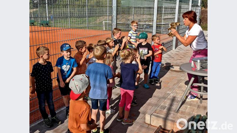 Dorothea Praller holte Kater Kamillo aus dem Versteck und erzählte, wie er in die Schule kam. Bild: zer
