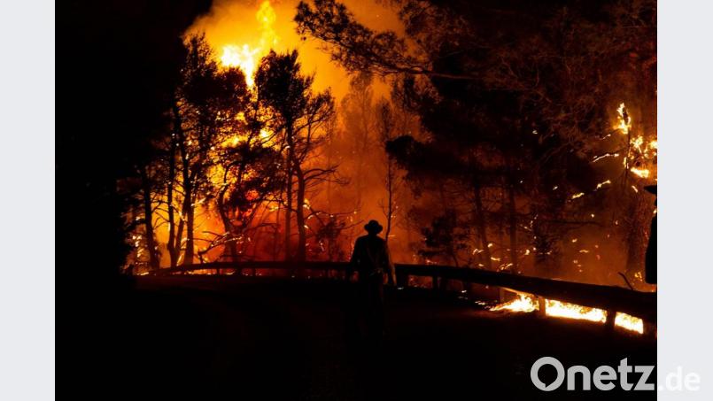Die Feuerwehr kämpft unermüdlich, um die Waldbrände einzudämmen, die in ganz Griechenland ausgebrochen sind. Ein wenig Unterstützung soll auch aus Amberg kommen. Der Verein Hellas Amberg startet eine Spendenaktion. Bild: Marios Lolos/dpa