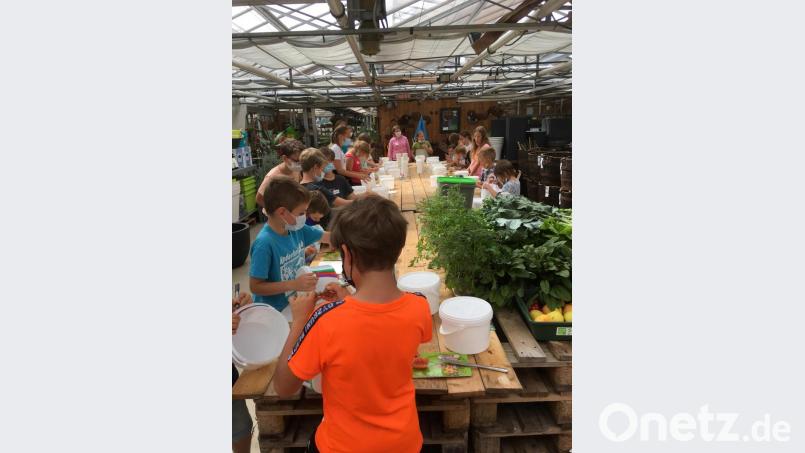 Kinder haben im Rahmen des Kinderferienclubs gelernt, Bokashi-Biodünger herzustellen. Bild: krb