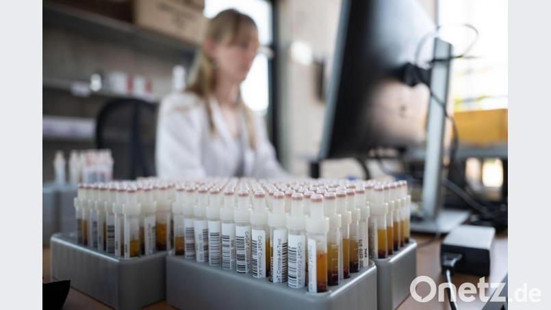 Blutentnahmeröhrchen mit Blutproben für einen Corona-Antikörper-Test in einem Labor. Symbolbild: Marijan Murat