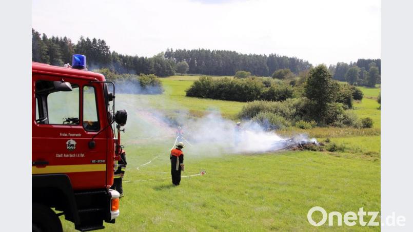 Der Holzstoß war fast komplett abgebrannt, als die Einsatzkräfte eintrafen. Bild: jma