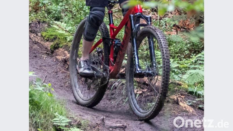 Ein Amberger ist am Donnerstag im Wald nahe der Frohnbergkirche mit seinem Mountainbike (Symbolbild) gestürzt. Symbolbild: Daniel Karmann/dpa