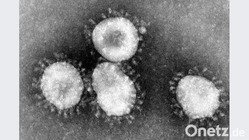 Coronaviren unter dem Mikroskop. Archivbild: Center for Disease Control/epa/dpa