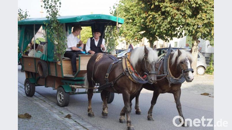 Von Schönsee aus ziehen Pferdegespanne zum Festgottesdienst am Kalvarienberg. Bild: mmj