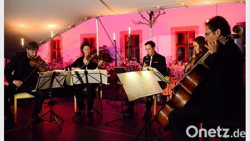 Das &quot;Diogenes Quartett&quot; mit Thorsten Johanns, Klarinette. Bild: Kunz