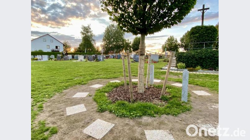 Für die Baumurnengräber wie auch für die Urnengräber in der Gemeinschaftsanlage ist die Gestaltung streng reglementiert. Bild: Eichl