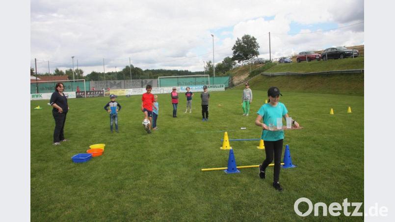 Die Kinder wurden in verschiedene Teilnehmergruppen eingeteilt. Für das "Spiel ohne Grenzen" stand das gesamte Sportgelände zur Verfügung. Bild: wro