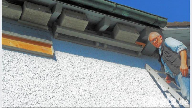 Für OWV-Artenschützer Bernd Bauer bedeutet es eine halsbrecherische Kraxelei, wenn er die Brutplätze der Mauersegler an seiner Hauswand in Kohlberg kontrollieren will. Bild: jml