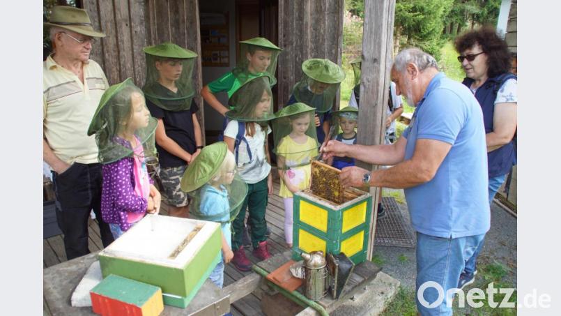 Neugierig beobachteten die Kinder das Innenleben eines Bienenstocks, das ihnen die Imker Josef Grosser (rechts) und Richard Forster (links) zeigte. Bild: mmj
