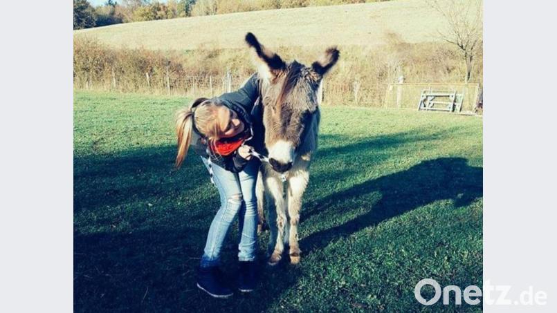 So war Benni vor dem Vorfall am Erzberg. Er beißt in den Pulli seiner Besitzerin Nathalie Rheinbay, weil er mit ihr spielen möchte. Bild: Nathalie Rheinbay/exb