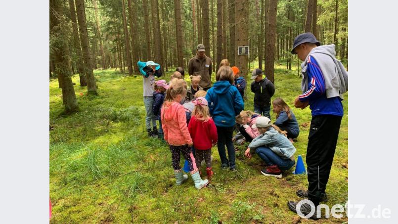 Die Kinder lernten bei einer Führung durch den Wald an verschiedenen Stationen Baumarten und Waldtiere kennen. Bild: ela