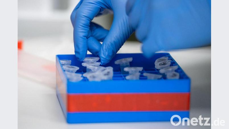 Eine Laborantin führt Untersuchungen zum Coronavirus durch. Foto: Christophe Gateau/dpa/Symbolbild Symbolbild: Christophe Gateau/dpa