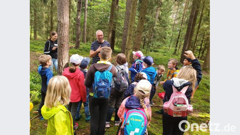 Die Kinder lernten bei einer Führung durch den Wald an verschiedenen Stationen Baumarten und Waldtiere kennen. Bild: ela