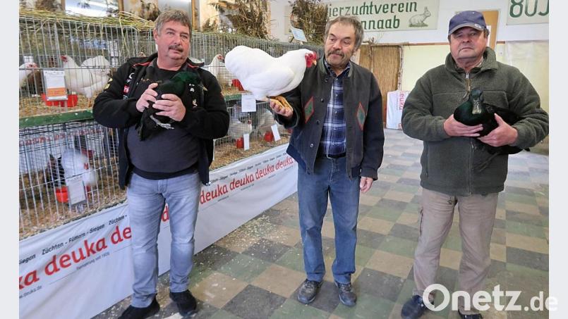 Auf die traditionelle und beliebte Lokalschau des Kleintierzuchtvereins Krummennaab hofft Vereinsvorsitzender Wolfgang Brunhofer (Mitte) nach dem coronabedingten Ausfall 2020. Unterstützung erhält er von seinen Freunden Dietmar Meierl (links) und Günter Brandl (rechts). Bild: bsc
