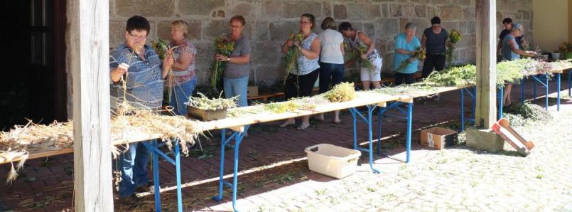 16 Frauen banden in einer langen Reihe unermüdlich Kräuter und Blumen zu 120 Sträußen. Bild: rpp