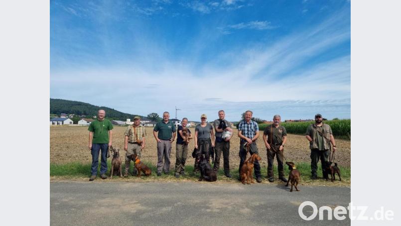 20 Hunde, davon jeweils 10 Begleit- und Jagdhunde, meisterten bei ausgezeichnetem Sommerwetter die Dressurprüfung beim Bayerischen Jagdverband Kreisgruppe Nabburg mit Bravour. Der Vorsitzende des Kreisverbands und Hundeobmann Herbert Fiebak (Dritter von links) hatte die 20 Gespanne fachkundig auf die Prüfung vorbereitet. Bild: ads
