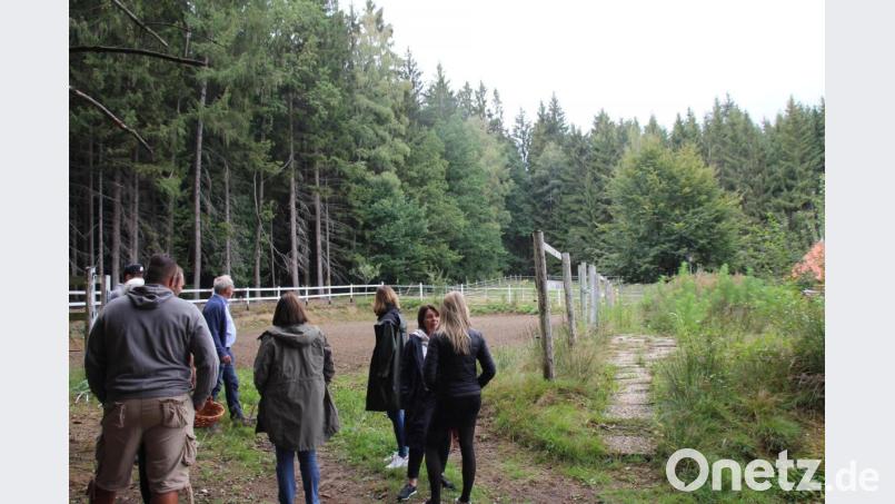 Das vorgesehene Veranstaltungsgelände wurde in Augenschein genommen. Die Weidezäune (im Vordergrund) werden noch abgebaut, die Bühne soll am Waldrand (im Hintergrund) errichtet werden. Bild: frd