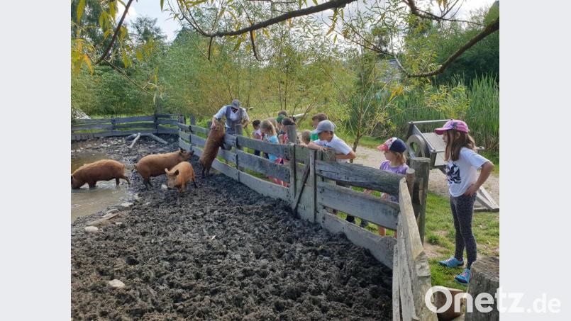 Ferienprogramm im Geschichtspark. Bild: Geschichtspark/exb