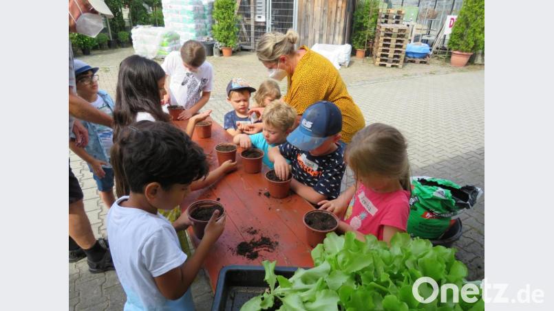 Die Buben und Mädchen bei ihren ersten Pflanzversuchen. Bild: adj