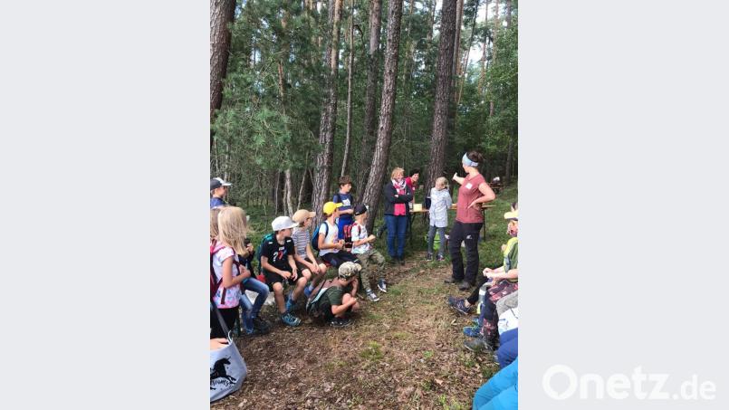 Ein Waldnachmittag mit Försterin Monika Werner Bild: krb