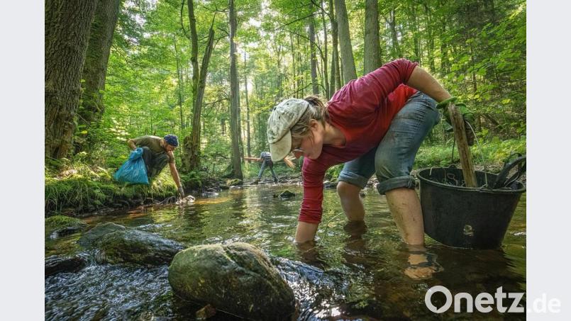 Freiwillige säuberten im Fichtelgebirge einen Flussabschnitt des Weißen Mains bei Bischofsgrün. Bild: exb/Martin Hertel