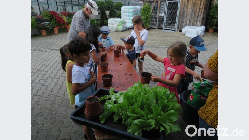 Die Buben und Mädchen bei ihren ersten Pflanzversuchen. Bild: adj