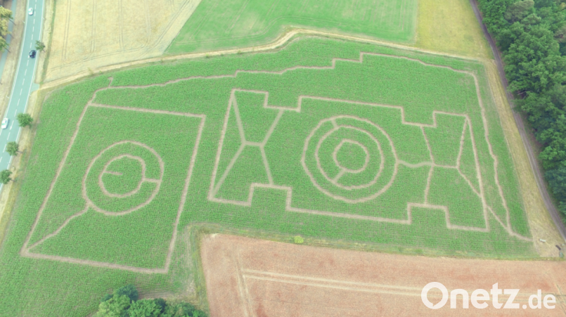 So hat der Irrgarten im Maislabyrinth Altenstadt/WN vor wenigen Jahren ausgesehen. Nun ist Schluss damit, das Feld erfährt eine andere Nutzung. Archivbild: adj