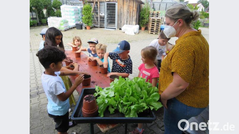 Die Buben und Mädchen bei ihren ersten Pflanzversuchen. Bild: adj