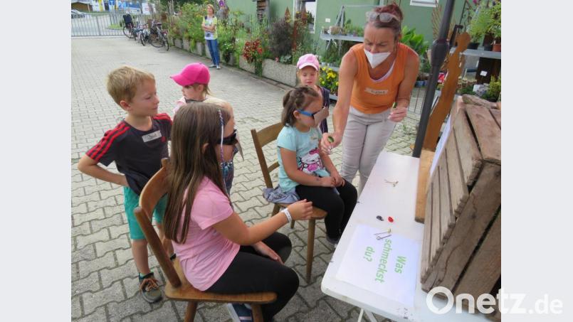 Bei der Blindverkostung wird es spannend. Radieschen, Gurke oder gar ein Gummibärchen? Die Buben und Mädchen schlagen sich wacker . Bild: adj
