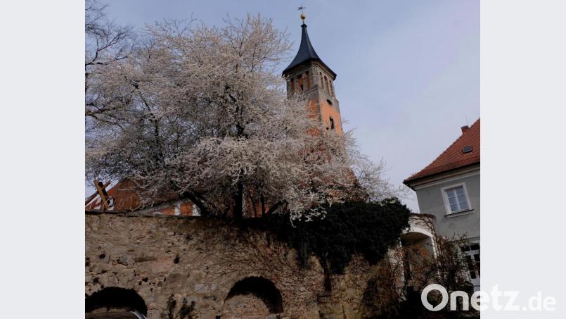 Der evangelische Kirchturm in Floß. Symbolbild: le