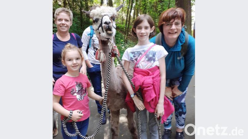 Ein tierisches Erlebnis der besonderen Art war die Wanderung mit Lamas und Alpakas vom Elfenteich, eine Veranstaltung zum diesjährigen Ferienprogramm der FGV-Ortsgruppe Speichersdorf, mit der Jugendleiterin Martina Dötsch (ganz rechts) als Organisatorin. Bild: br