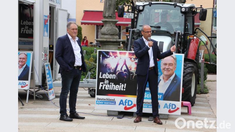 Die beiden AfD-Bundestagsdirektkandidaten Manfred Schiller (Weiden, links) und Rainer Rothfuss (Lindau) stellten sich den Fragen der Wahlkampfbesucher. Bild: kro