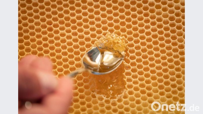 In Waben lagern Bienen ihren Honig. Die Imker bedienen sich dann an diesem Vorrat. Heuer allerdings müssen Tier und Mensch mit weniger Ernte auskommen. Symbolbild: Friso Gentsch/dpa