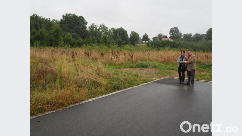 im künftigen Gewerbegebiet von Neustadt/WN ist nur noch ein Grundstück zu haben. Bild: krb