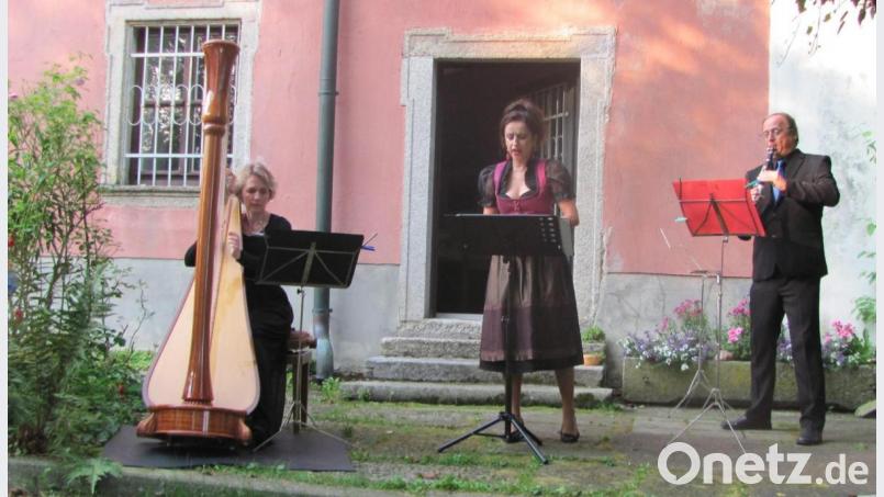Mit Harfe Gesang und Klarinettenspiel begeisterten am Samstag Katharina Teufel-Lieli, Jystyna Ilnicka und Gabor Lieli (von links) bei den Wurzer Sommerkonzerten. Bild: sei