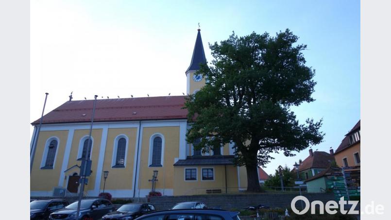Die Ortsmitte von Moosbach wählte eine große Storchenschar zur Rast, obwohl es im Markt selbst keinen Storchenhorst gibt. Bild: fjo
