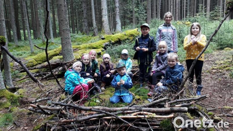 Viel zu entdecken gab es beim Waldtag, der im Rahmen des Ferienprogramms angeboten wurde Bild: Stadt Bärnau/exb