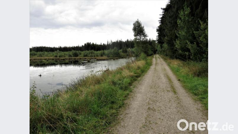 Linkerhand soll das Moor bleiben, wie es ist. Jedoch hat BN-Vorsitzender Josef Siller bedenken, dass das Industriegebiet zu nah liegt. Bild: ubb