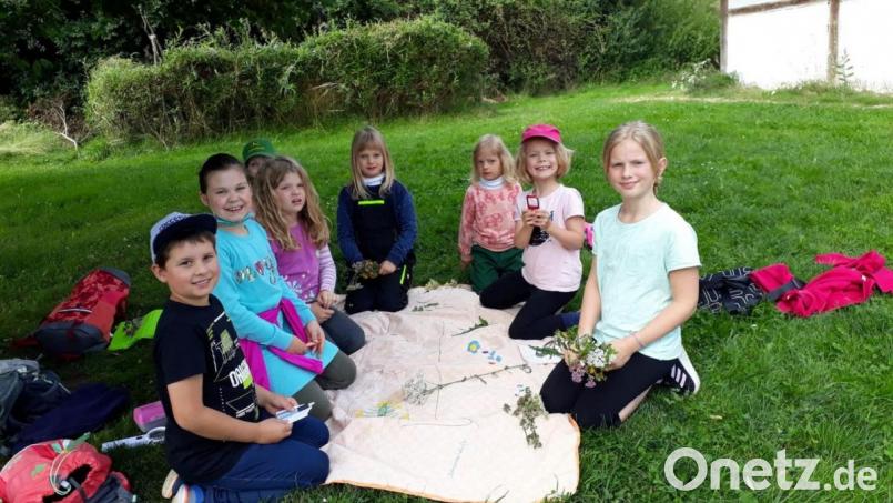 Bei der Kräuterwanderung im Geschichtspark wurde den Kindern auch erklärt, was bei Husten oder Insektenstichen helfen kann. Bild: Stadt Bärnau/exb