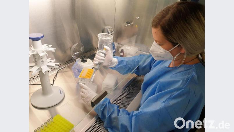 Auf wenigstens 100 Teilnehmer für die Antikörperstudie für ihre Doktorarbeit hatte Kristina Schraml vom Labor von Bio-Variance gehofft. Jetzt sind es bereits 1000 Probanden und die Anmeldung ist weiter möglich. Symbolbild: eg