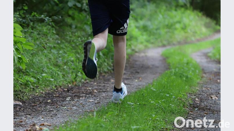 Waldweg oder Asphaltpiste - die Strecke beim „1. Weidener Löwen-Lauf“ ist frei wählbar. Bild: Lions-Club Weiden
